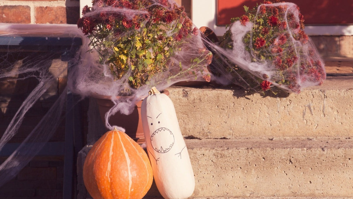 Creating a Fun Halloween Exterior for Your Home