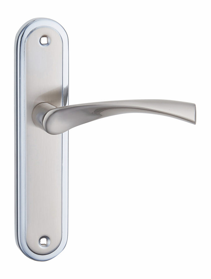 Apollo Silver Backplate Handle