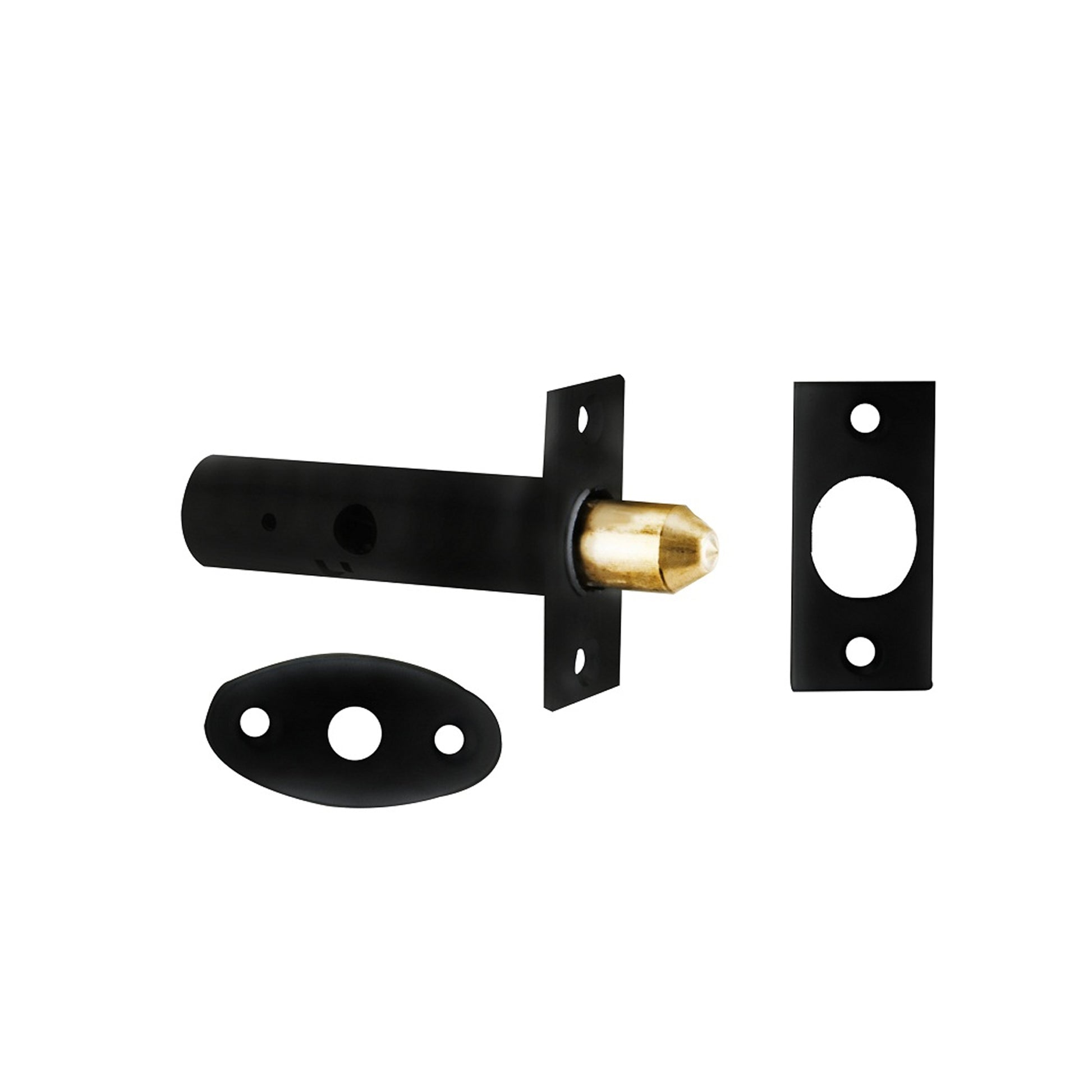 Components of a Black Rack Bolt on a white background