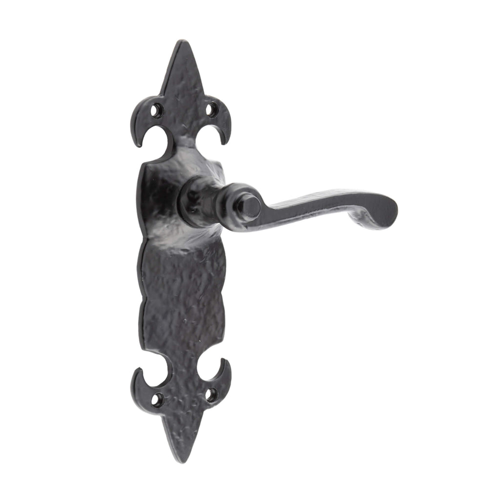 A FDL Black backplate door handle on a white background