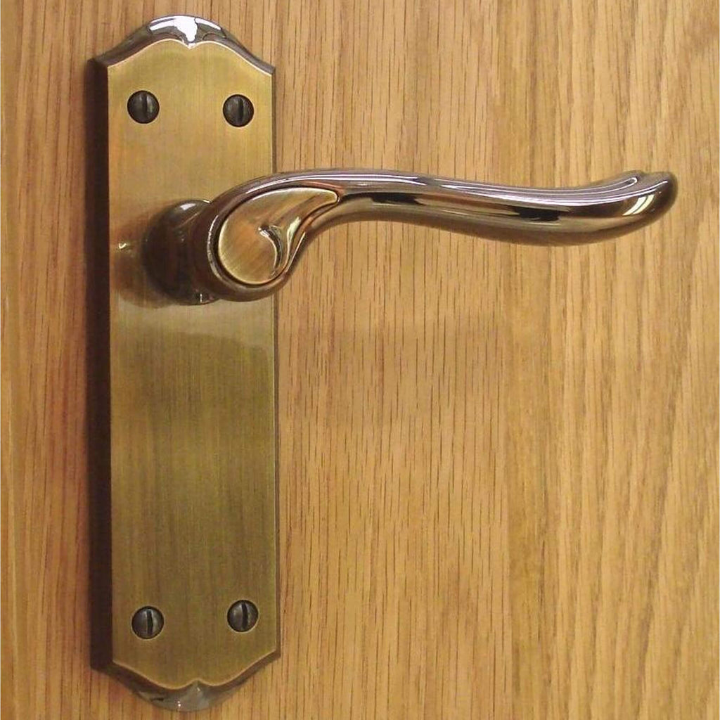 A Monet Bright Coffee & Coffee Brushed Latch Backplate Handle on a wooden door