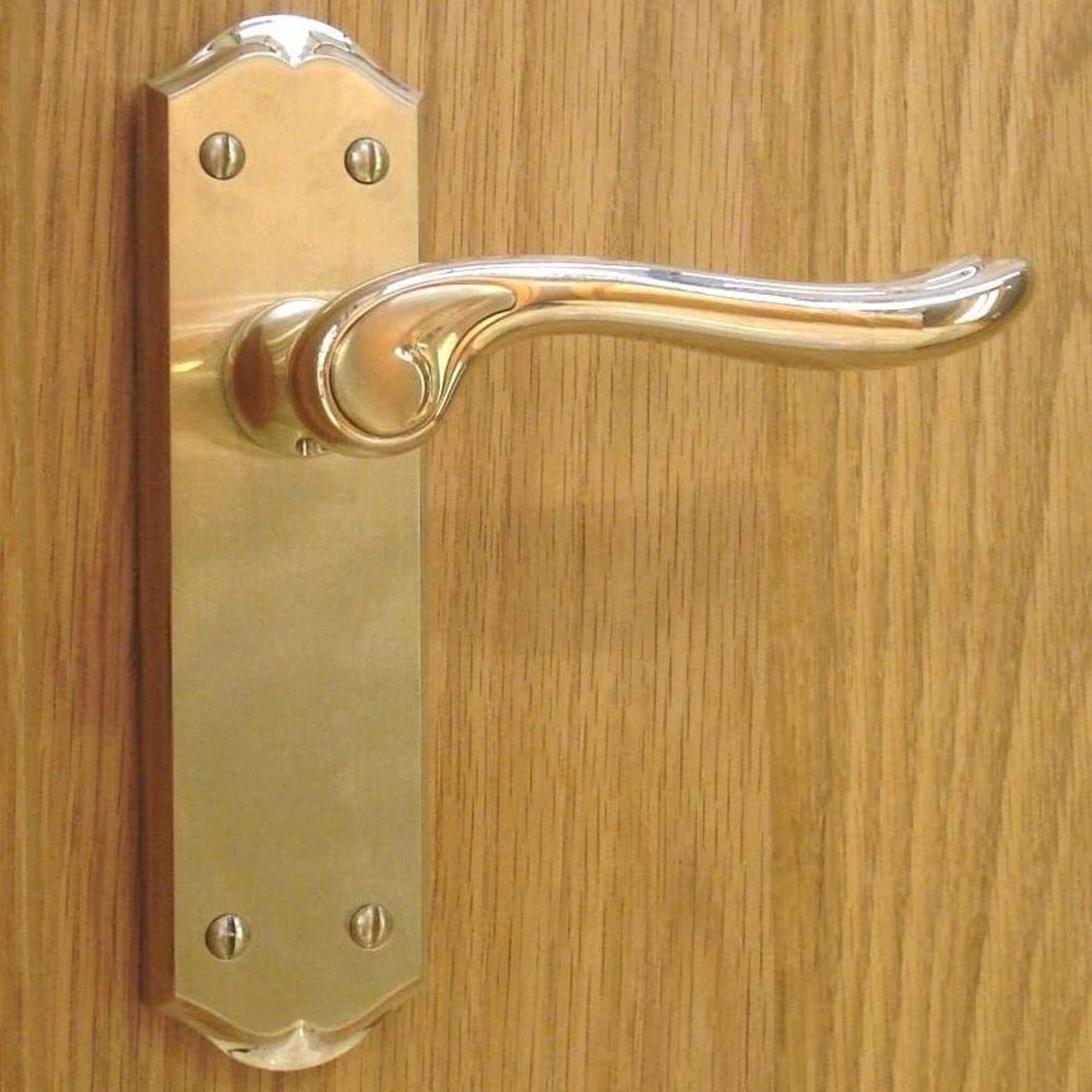 Monet PVD Brass Latch Backplate Handle on a wooden door