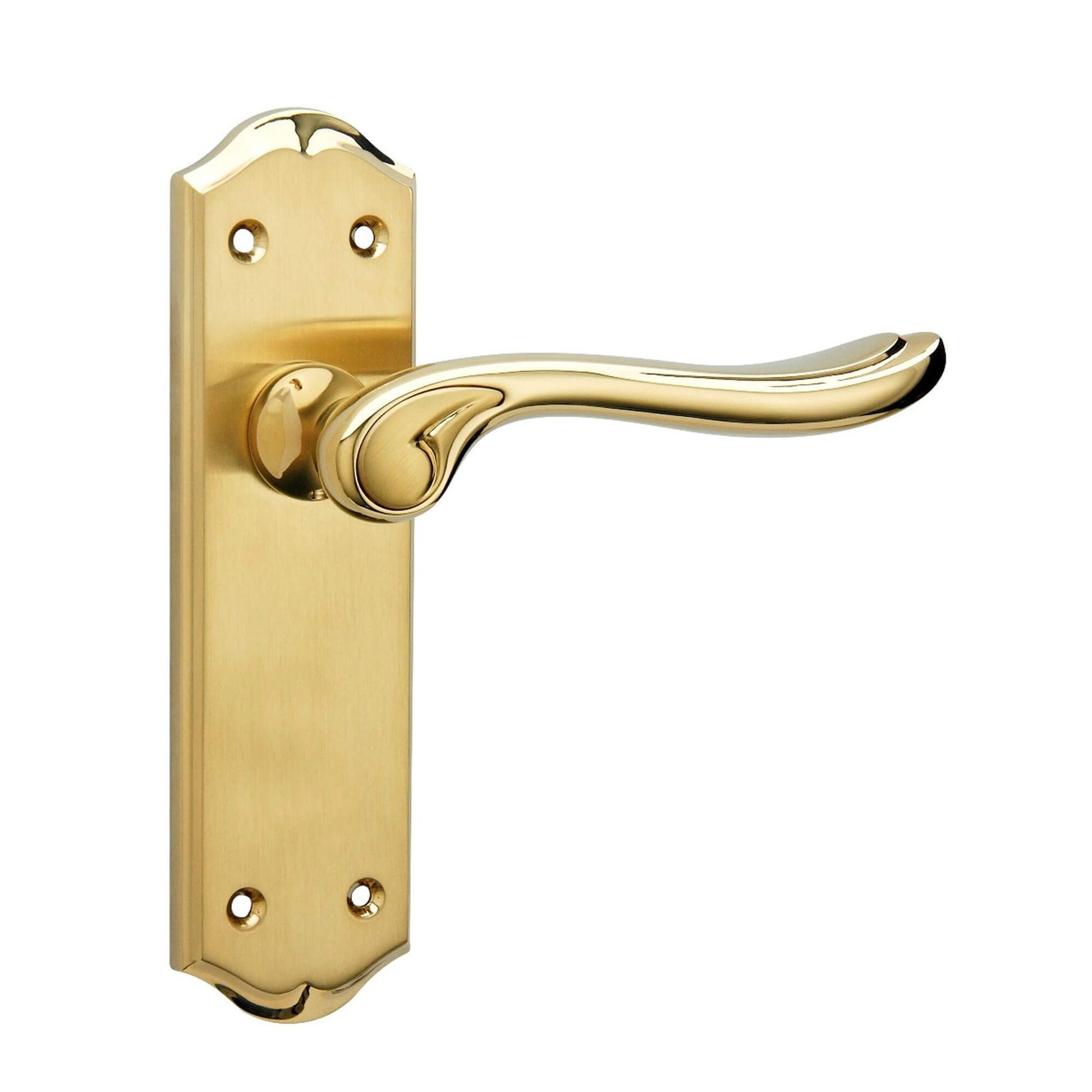 Monet PVD Brass Latch Backplate Handle on a white background