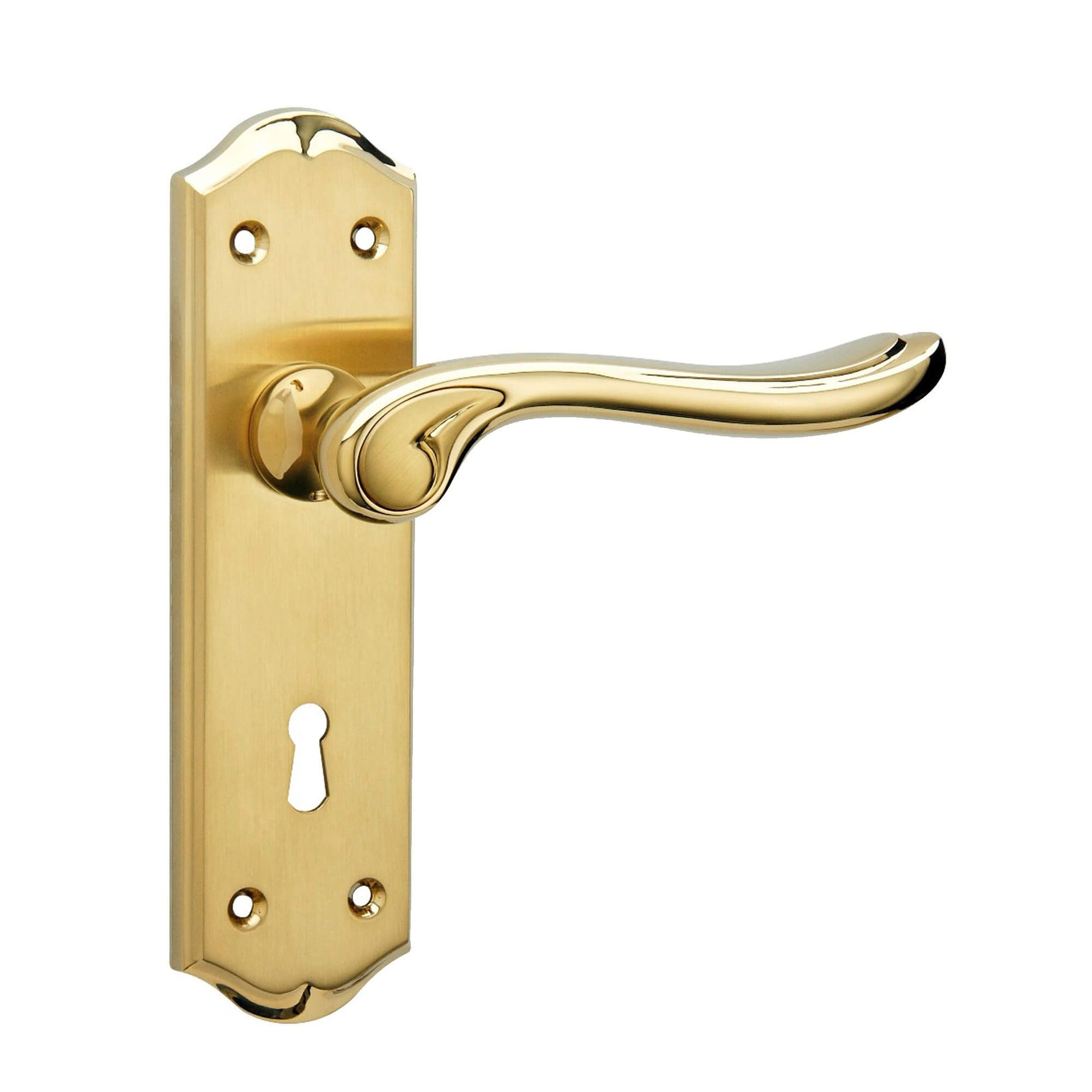Monet PVD Brass Lock Backplate Handle on a white background