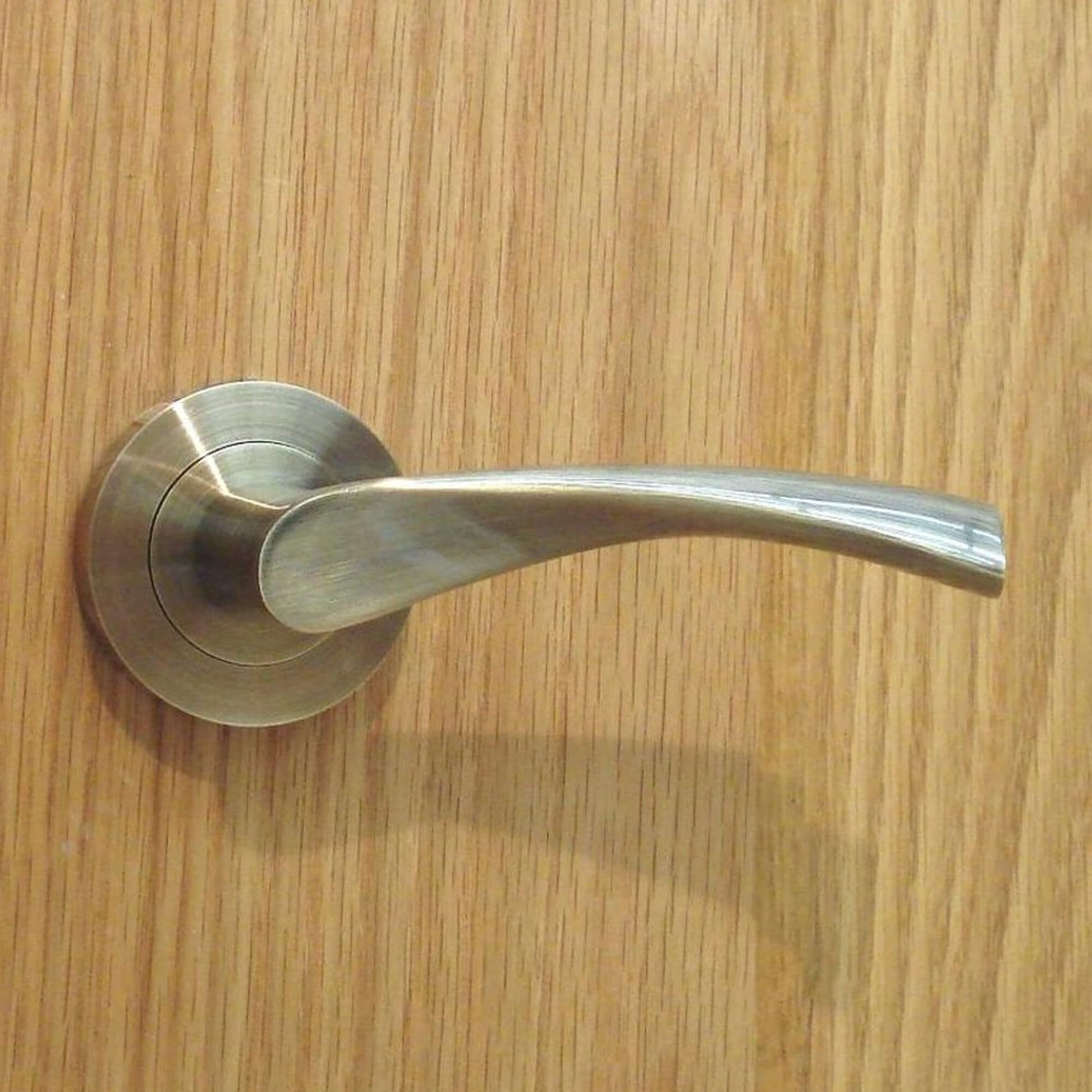 A Trade Range Antique Brass door handle on a wooden door